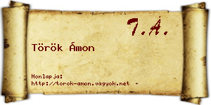 Török Ámon névjegykártya